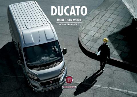 Fiat catalogue | Ducato Merci | 15/01/2022 - 01/01/2023