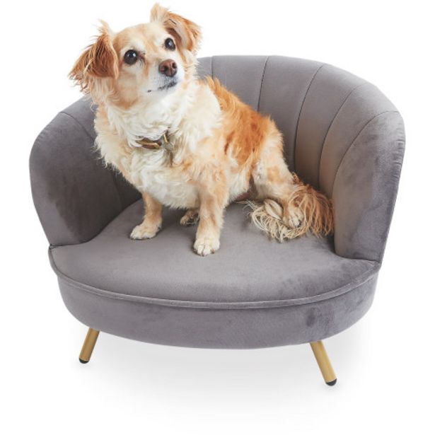 Grey Scalloped Pet Chair offer at £44.99