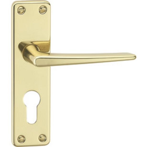 Royale Door Handles                    Euro Polished Brass offer at £11.52