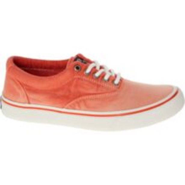 Coral Ombre Trainers offer at £24.99