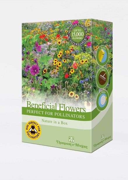 Beneficial Flowers Perfect for Pollinators Mix Scatter Pack offers at £8.99 in Dobbies Garden Centre